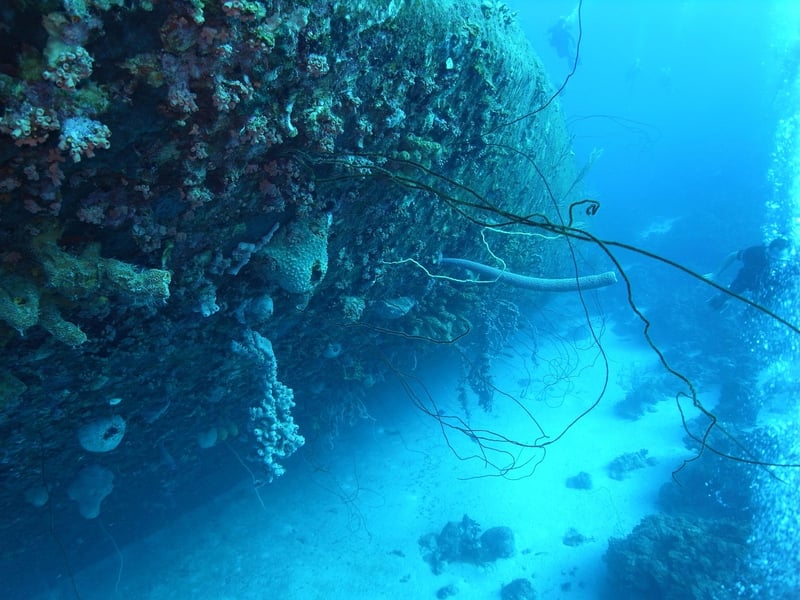 Shipwreck Exploration